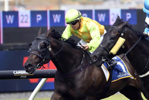 Wood seeking early Easter Success at Ellerslie