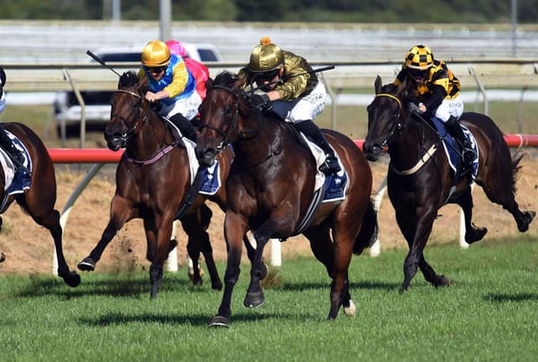 Zormella set for step up in distance in upcoming test