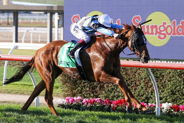 Maher lands hometown Cup victory