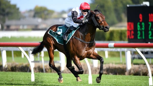 Acapelago all the way at Te Rapa