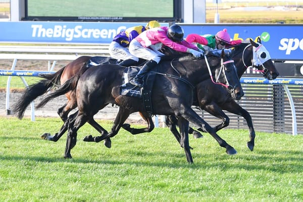 Cup winners' siblings fight out finish