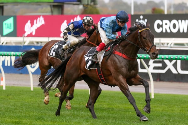 Gift produces dream Melbourne Cup start