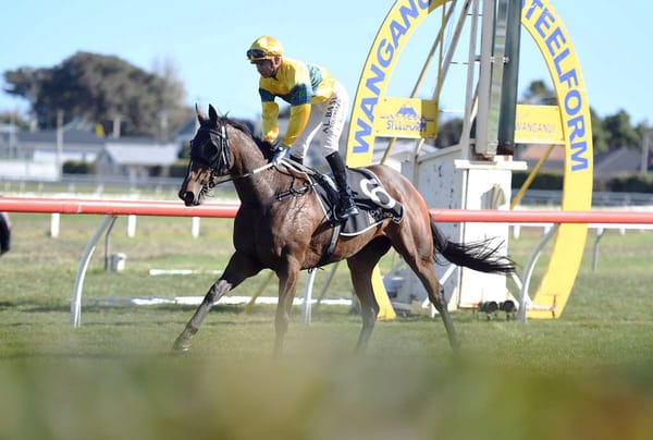 Filly set to add to Sharrock’s top tally with family