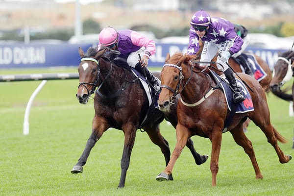 Well-bred filly shooting for the stars