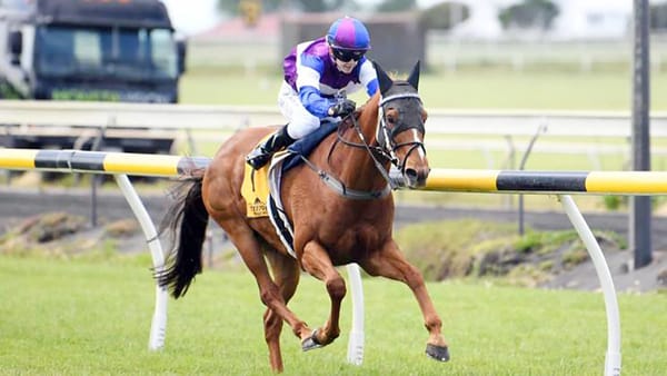Chajaba Targets Opunake Cup