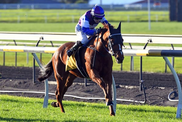 New Plymouth specialist strikes again