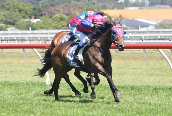 Smart mare to make most of second chances