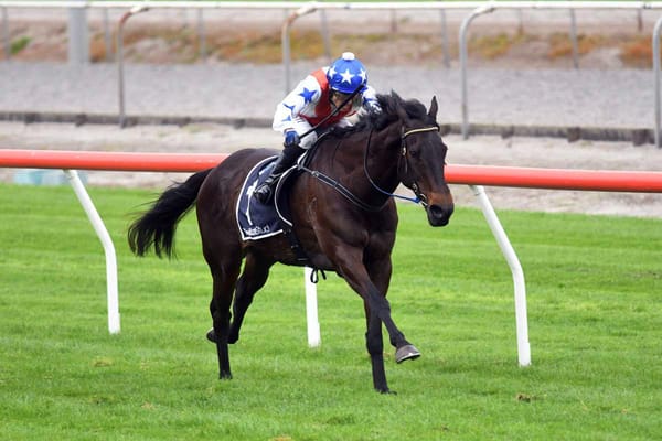 Guy stable targets Taranaki with in-form trio