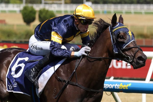 Coeur Volante primed for raceday return