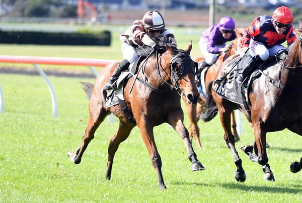 Country Salon too smart at Trentham