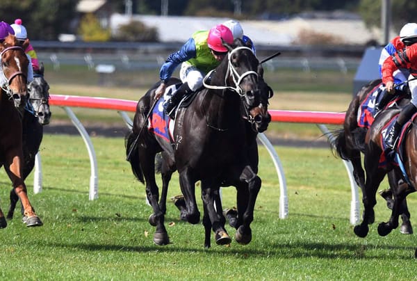 Campbell keeps it cautious with Croupier this weekend.