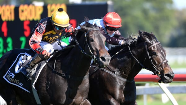 Force of Nature continues winning run