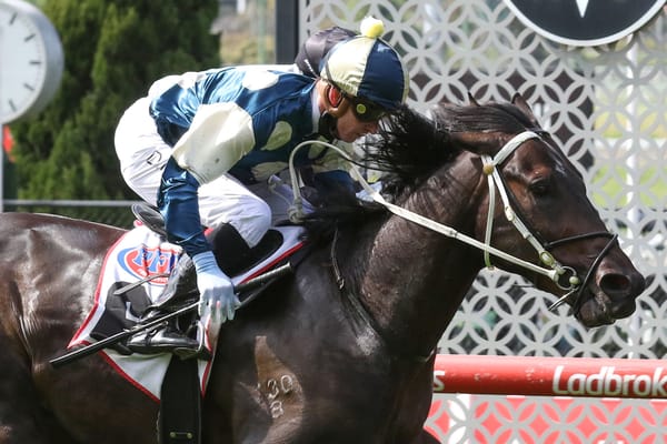 Forgotten galloper makes comeback