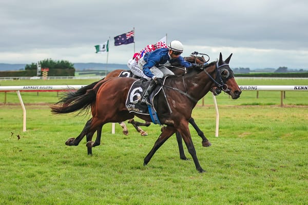 Southern Trio Ready to Shine at Trentham