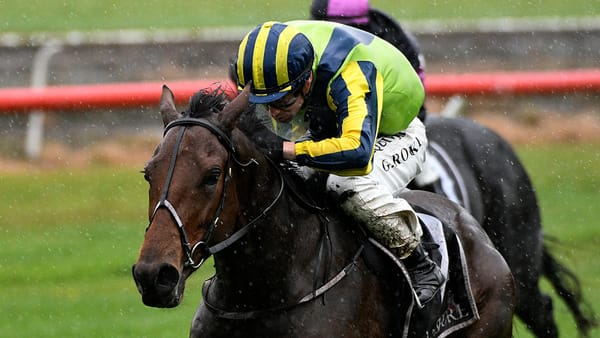 Wexford three-year-olds thrive in testing Tauranga conditions