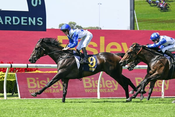 Matamata farm set for strong Group One presence