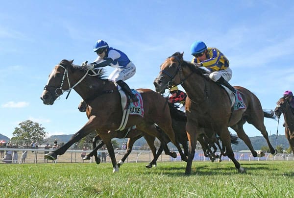 Big impost for synthetic specialist at Cambridge