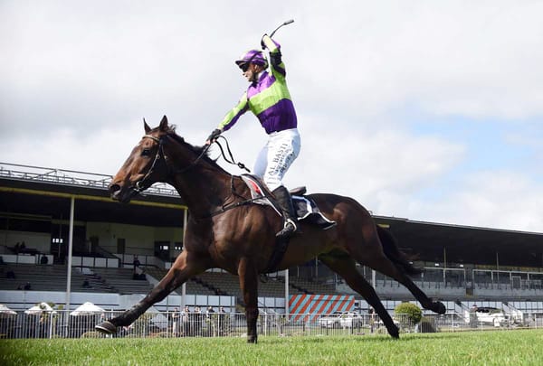 Northern Champ Back to His Happy Hunting Ground