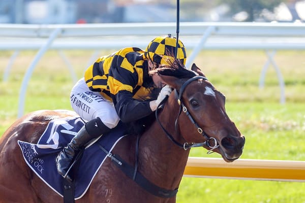 Cambridge Stud savours Champagne success