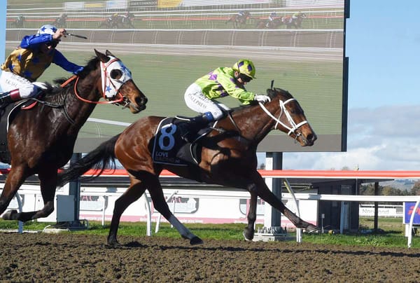 Untapped Awapuni pair target spring campaigns