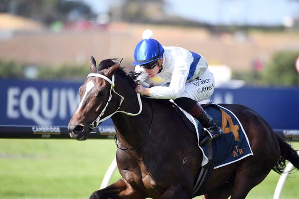 Cambridge barn chasing stakes success on all fronts