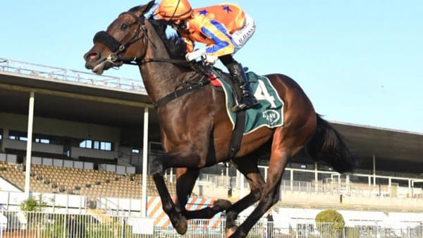 Sense Of Timing impresses in Te Rapa finale