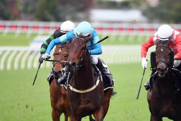 Top mare’s star still shining brightly