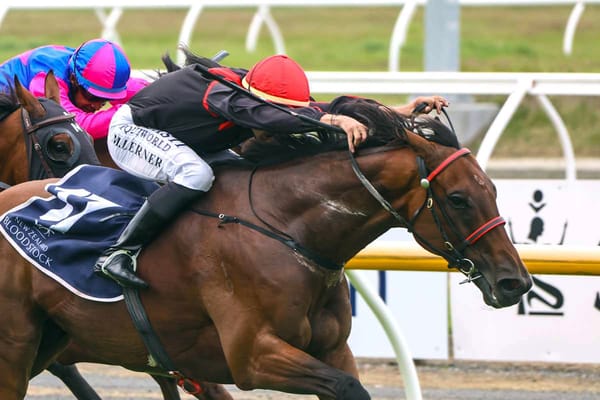 Carston set for a strong showing at Riccarton.