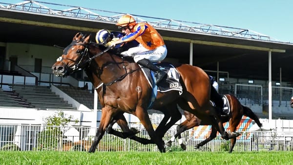 Te Akau Juvenile Out to Dominate Champagne Stakes