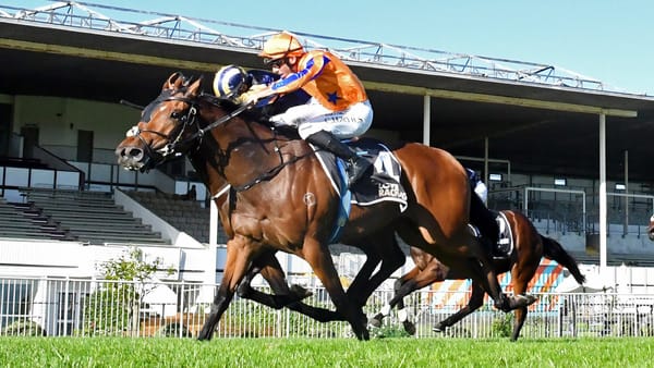 Towering Vision claims stakes victory in desperate finish