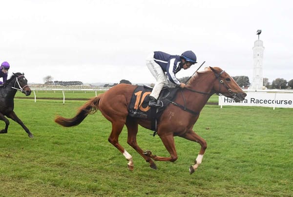 Promising filly caps off top week for Pertab