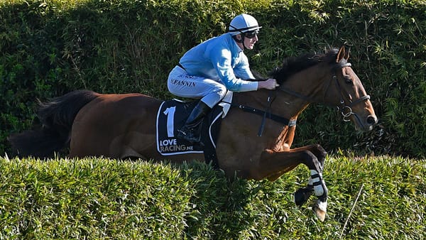 Champion Jumper West Coast to resume at Wanganui