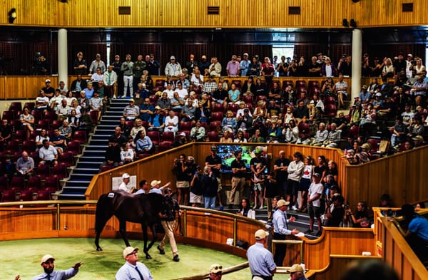 Entries Open for 100th National Yearling Sale