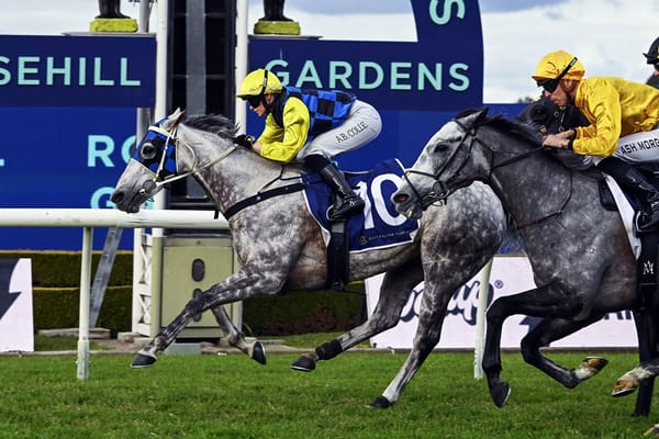 Bacio Del Mist hits new heights in Stayers’ Cup