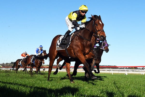 Belles Beau completes Wanganui double for Patterson