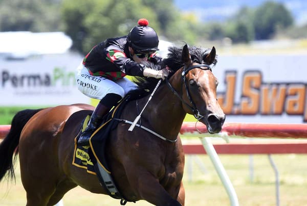 Filly aiming to turn fortunes around