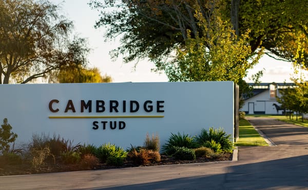 Cambridge Stud to Sell 100% at Karaka 2026