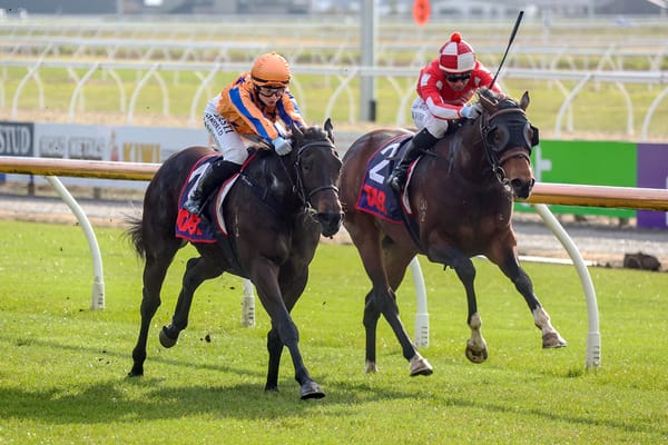 Cool Aza Rene lifts Te Akau to 20 two-year-old wins