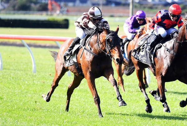 Aptly-named homebred vying for stakes success