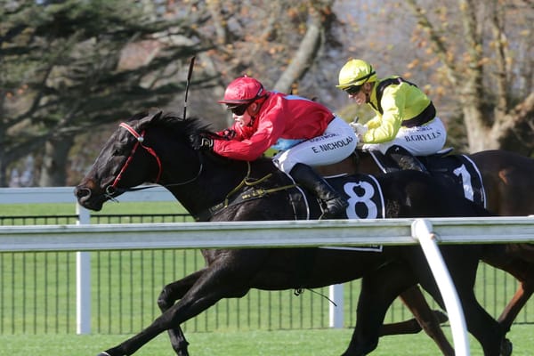 Resilient Nicholas back in the winner’s circle