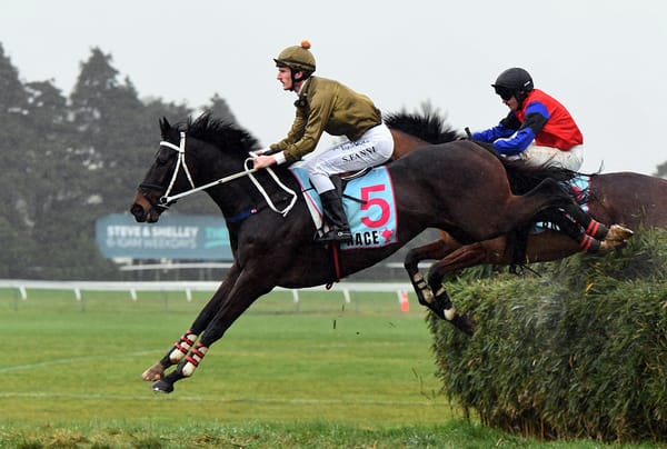 Jesko adds Wellington Steeplechase crown to his trophy cabinet