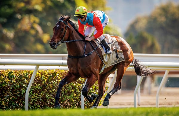 Everest only for Hong Kong star