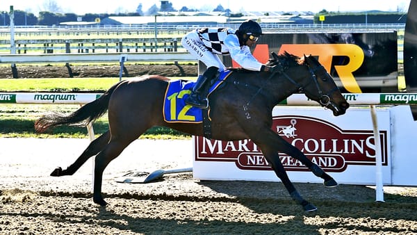 Local filly fires on debut at Cambridge