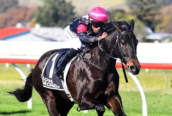 Exciting prospect remains unbeaten at Wanganui