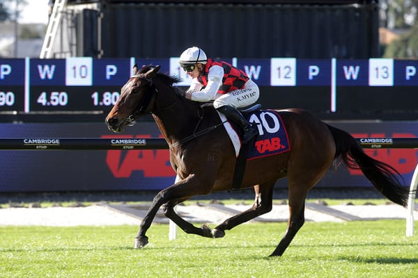 Major Major hits his stride for Alexanders