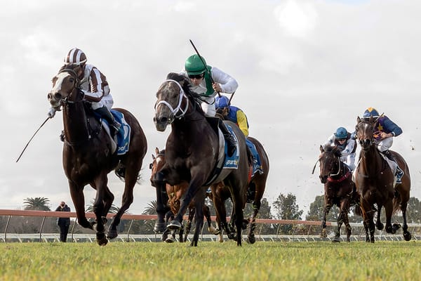 Tivaci two-year-old takes Oaklands Plate