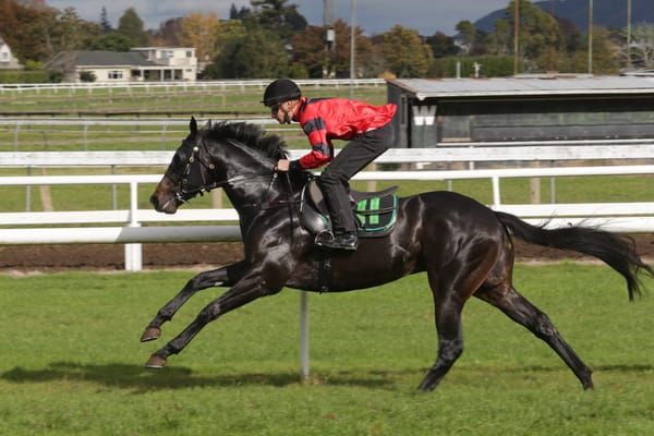 Winter Final in the offing for promising juvenile