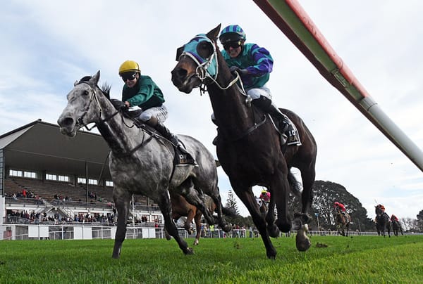 Piper’s Son outfights the favourite in Raukawa Cup