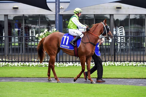 Ipswich Cup distance test for Poetic Drama