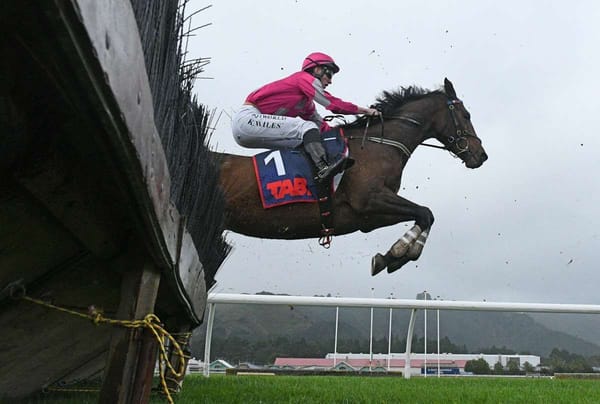 Bright future for promising hurdlers